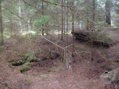 tl406